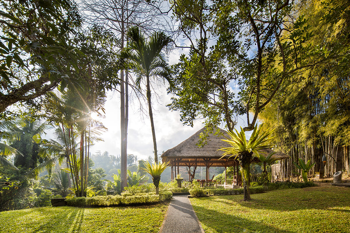Breathtaking Garden